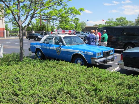 1991 Ford LTD Crown Victoria - blue and white Police sedan with roof light bar, marked Hwy, parked behind a low hedge as spectators stand nearby.