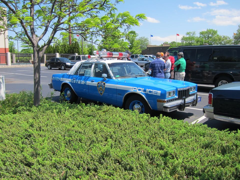 Blue and white NYPD-style Police Dodge sedan with light bar parked behind a hedge