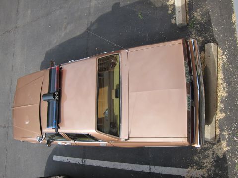 1991 Ford LTD Crown Victoria - overhead view looking down on a tan Park Ranger sedan with a roof lightbar marked 36-3 parked in a lot.
