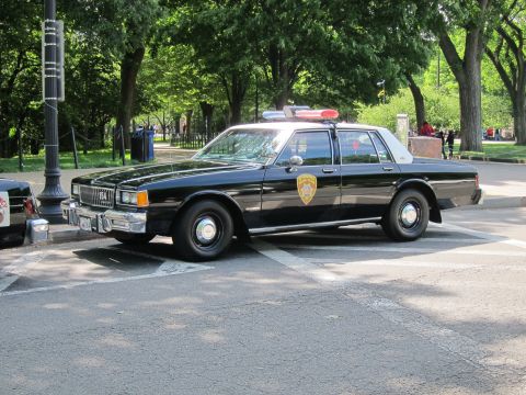 1991 Ford LTD Crown Victoria - black police sedan with white roof, gold door shield and roof light bar parked at a crosswalk in a tree-filled park setting.