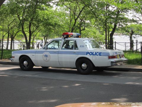 1991 Ford LTD Crown Victoria - white and blue Police sedan numbered 839 with a palmetto-tree door seal and red lightbar parked along a waterside drive.