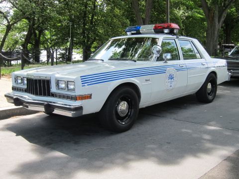 1991 Ford LTD Crown Victoria - white Dodge police sedan with blue side stripes, a palmetto-tree door seal, spotlight and red-blue roof lights parked in a park.