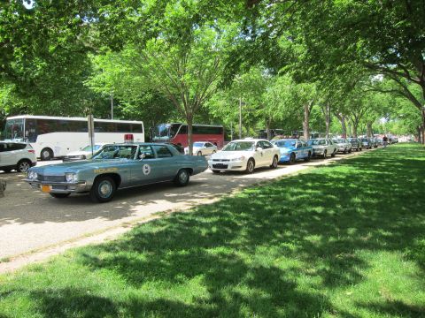 1991 Ford LTD Crown Victoria - light-blue vintage police sedan leads a row of assorted patrol cars parked along a sunlit, tree-shaded park path.