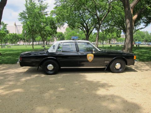 1991 Ford LTD Crown Victoria - Profile of a black Chevrolet Caprice police sedan with a gold door shield and blue light bar, parked on a dirt lot in a park.