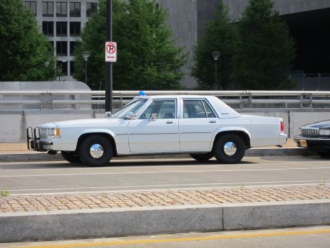 1991 Ford LTD Crown Victoria - white Ford LTD Crown Victoria police sedan with push bar and dome light parks along a curb near a tan car and office building.