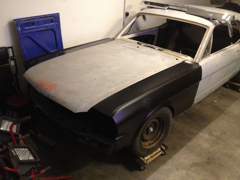new dynacorn fenders