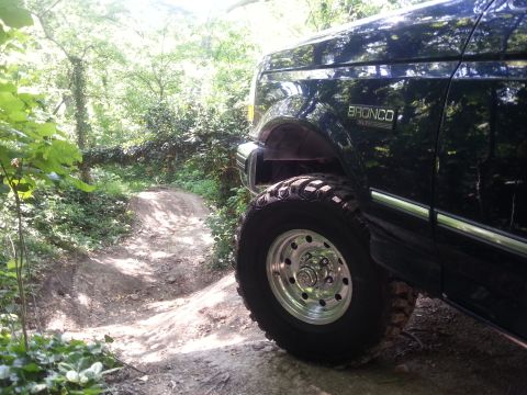 1995 Ford Bronco - A dark blue 1995 Ford Bronco XLT navigates a wooded trail, its off-road capabilities.