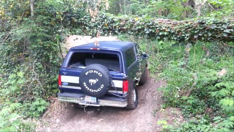 1995 Ford Bronco - A 1995 Ford Bronco navigates a narrow, overgrown trail with a large fallen tree blocking the path.