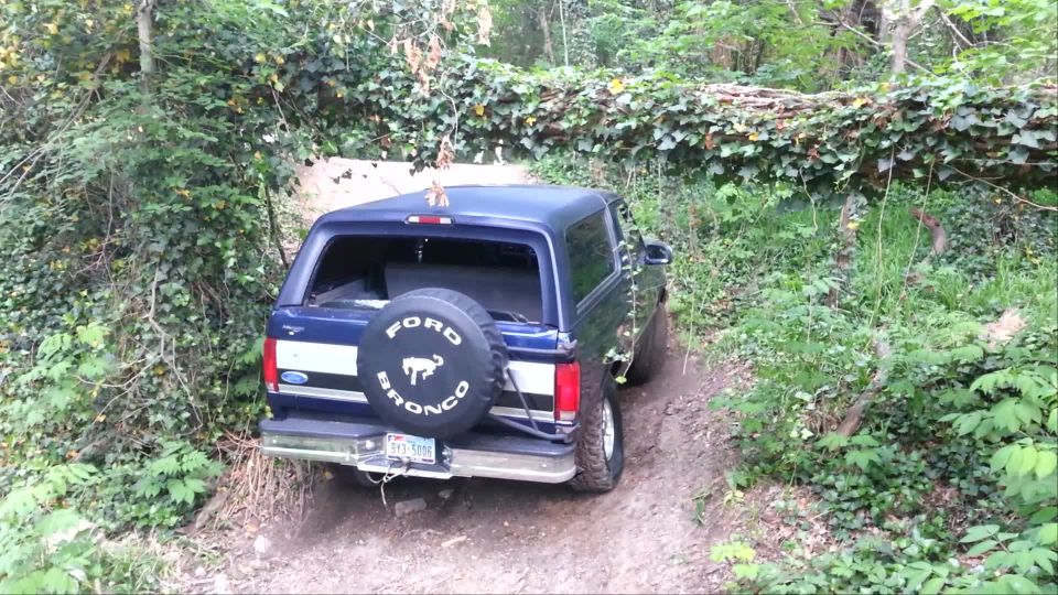 Blue Ford Bronco on a dirt trail with a fallen tree covered in ivy overhead