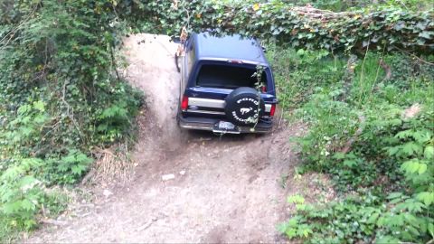 1995 Ford Bronco - A 1995 Ford Bronco navigates a wooded trail, its spare tire cover visible.