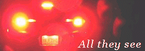 1997 Ford Taurus - Red taillights and license plate are visible with text overlay.