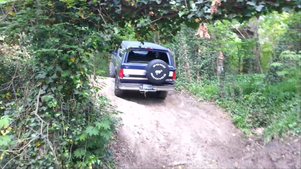 Dark blue 1995 Ford Bronco on a dirt hill, rear view