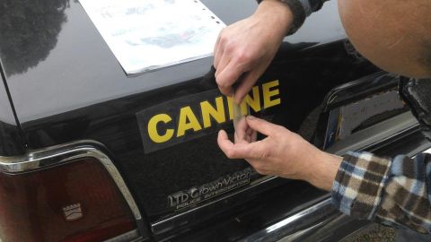 1991 Ford LTD Crown Victoria - A person is applying a 'CANINE' decal to the trunk of a Ford Crown Victoria Police Interceptor.