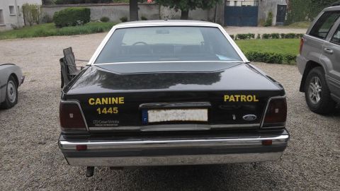 1991 Ford LTD Crown Victoria - Rear view of a black 1991 Ford Crown Victoria police car, marked 'CANINE PATROL 1445', parked outdoors.