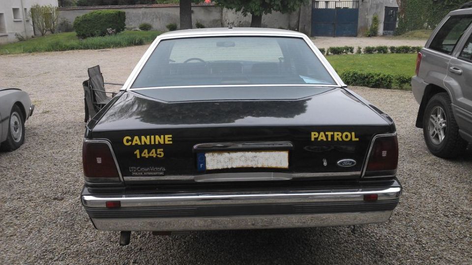 Black 1991 Ford Crown Victoria police car with 'CANINE PATROL' text, parked next to a silver SUV
