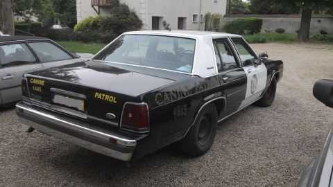 1991 Ford LTD Crown Victoria - This 1991 Ford Crown Victoria police car is seen from the rear, marked "CANINE PATROL".