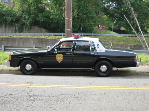 1991 Ford LTD Crown Victoria - black-and-white classic Chevrolet Caprice police sedan with door emblem and dome light parks curbside by a grassy bank.