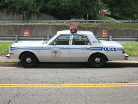 1991 Ford LTD Crown Victoria - white police sedan with blue stripes, a roof lightbar, and a palm-tree department seal marked POLICE 839 sits curbside by a highway.