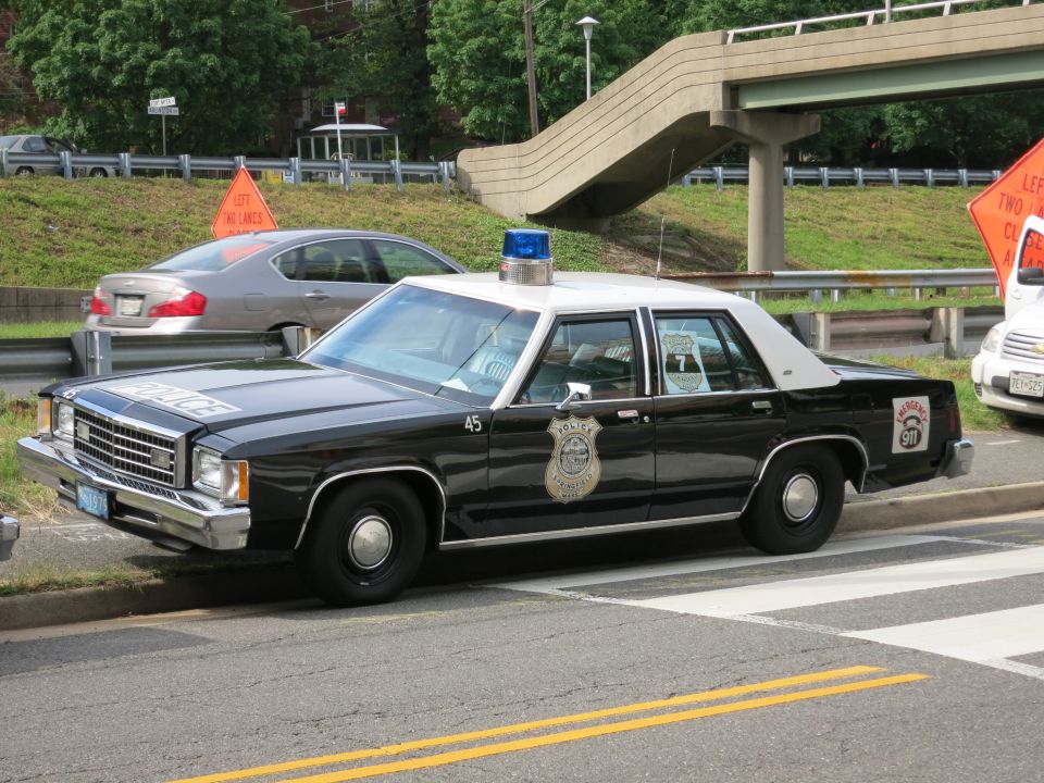 Black-and-white police sedan marked 45 with gold star door shield by an overpass