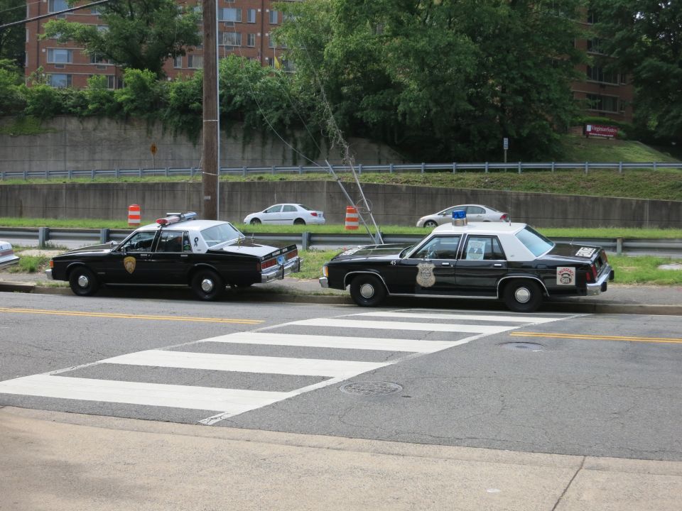 Two black-and-white police sedans with gold door shields parked at a crosswalk