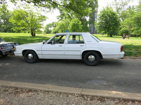 1991 Ford LTD Crown Victoria - plain white Ford four-door sedan with a single roof beacon is parked in a park, a marked police car at the left.