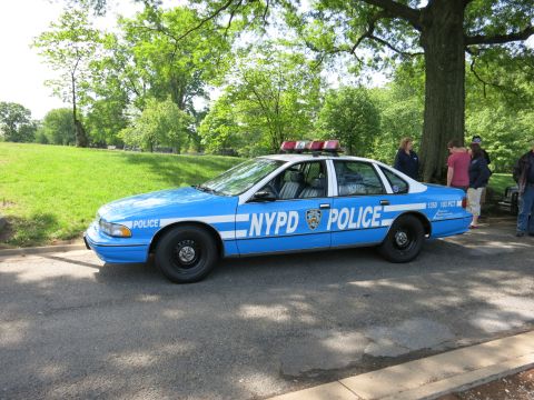 1991 Ford LTD Crown Victoria - blue NYPD police sedan marked POLICE with a roof light bar parked on a park road as bystanders stand alongside.