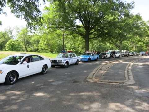 1991 Ford LTD Crown Victoria - line of classic police vehicles, including a white sedan in front, parked along a curving road beneath large shade trees.