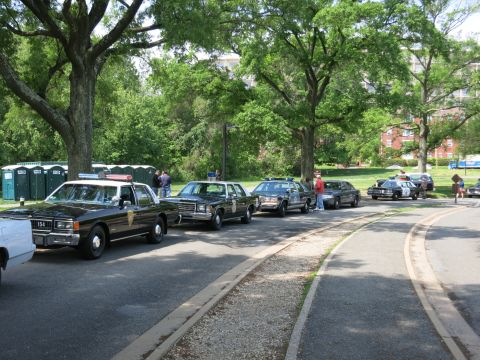 1991 Ford LTD Crown Victoria - Several dark state-police-style sedans, the lead one numbered 154 with a gold door emblem, parked in a line under trees.
