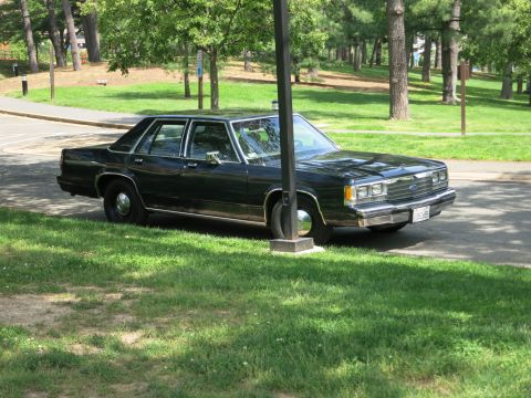 1991 Ford LTD Crown Victoria - dark green Ford LTD Crown Victoria sedan parked on grass beside a lamppost in a tree-lined park setting.