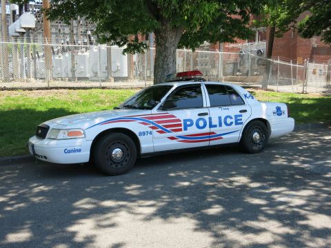 1991 Ford LTD Crown Victoria - white DC Metropolitan Police Ford Crown Victoria K-9 Canine unit marked POLICE 8974 parked by a fence.