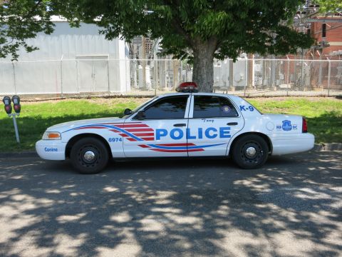 1991 Ford LTD Crown Victoria - white DC Metropolitan Police Ford Crown Victoria K-9 Canine cruiser marked POLICE 8974 parked under a shade tree.