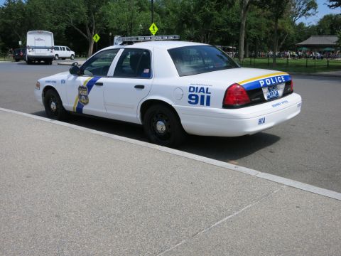 1991 Ford LTD Crown Victoria - white police sedan marked 'DIAL 911 POLICE' with light bar is shown rear three-quarter at a curb in a park.