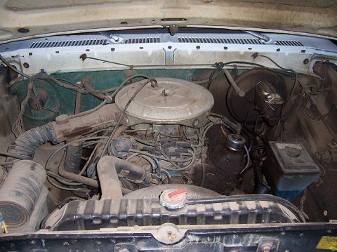 1978 Ford Bronco - The day I bought her engine
