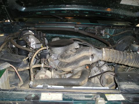 1996 Ford Bronco - The engine bay of a green vehicle is shown, with various mechanical parts and hoses visible.