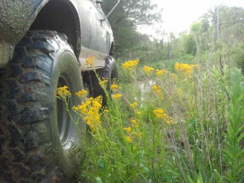 1987 Ford Bronco - A close-up view of a muddy tire and fender of an off-road vehicle, surrounded by vegetation and yellow wildflowers.