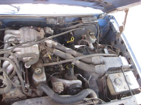 1988 Ford Bronco - The engine bay of a 1988 Ford Bronco is visible, with the Ford branding clearly displayed on the intake manifold.