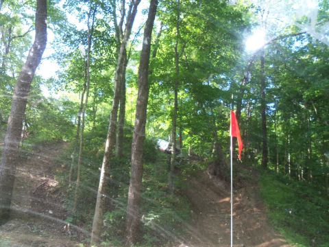 1989 Ford Bronco - A wooded area with a red flag marking a path, and a hint of a structure obscured by trees.