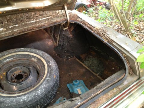 1988 Ford Bronco - Trunk interior of an old car, showing a spare tire and jack, with debris.