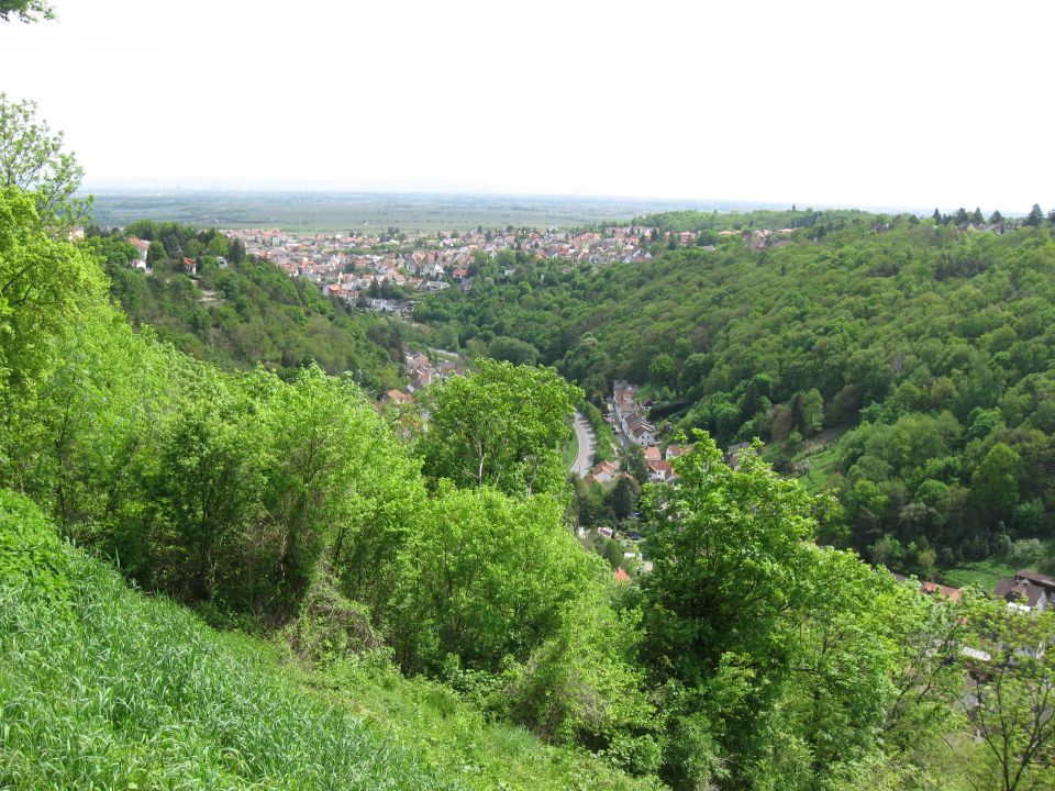 View of a town in a green valley with trees and hills