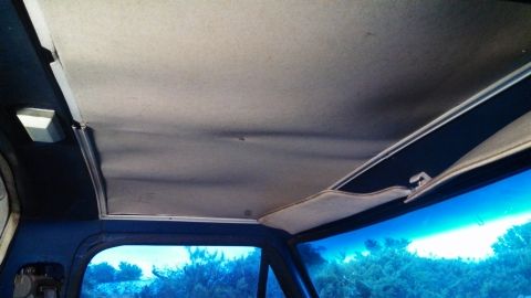 1979 Ford Bronco - Interior view of a vehicle's headliner and windshield, with a watermark indicating the source.