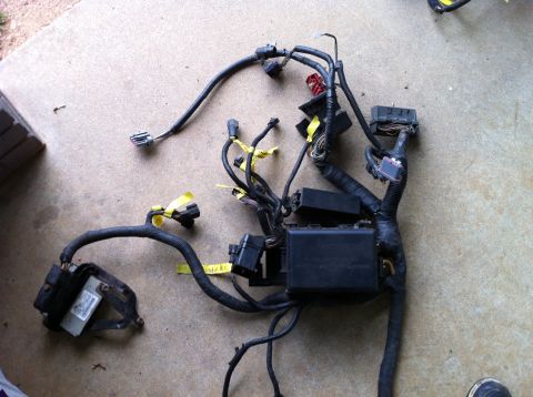 1992 Ford Bronco - Wiring harness assembly with multiple connectors and a black fuse box, photographed on a concrete surface.