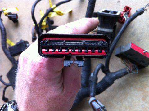 1992 Ford Bronco - Close-up of a wiring harness connector, likely from a vehicle's electrical system.