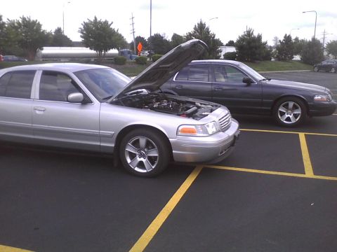2003 Ford Crown Victoria - Two Ford Crown Victorias are parked in a lot, one with its hood up, revealing the engine.