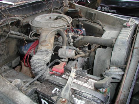 1979 Ford Bronco photo
