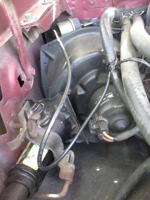1995 Ford Bronco - Engine bay components, including a blower motor and hoses, are visible in this close-up view.