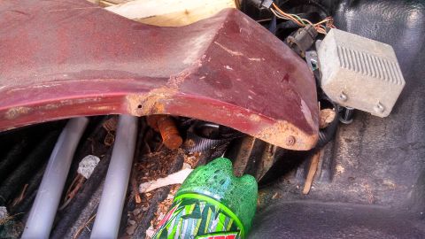 1979 Ford Bronco - A close-up view of a rusted car fender and some electrical components, with a soda bottle in the foreground.