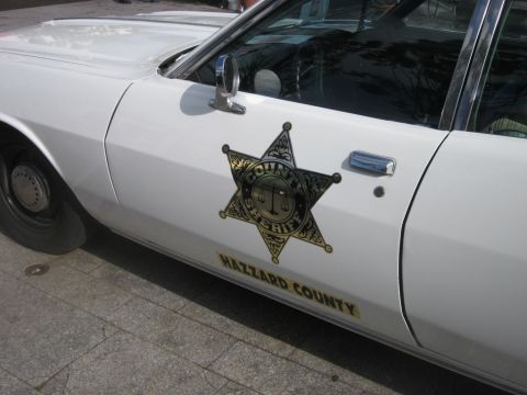 1991 Ford LTD Crown Victoria - A close-up of a white vehicle door displaying a sheriff's star emblem and county name.