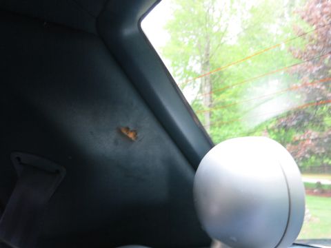 1991 Ford LTD Crown Victoria - Interior corner of a car showing a silver spherical light mounted near the rear window with green trees outside.