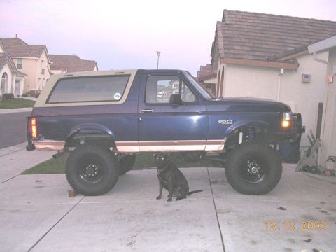 1994 Ford Bronco - fullside shot with chessy/lab for rough height comparison