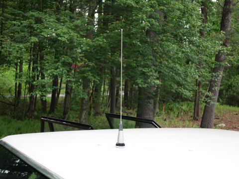 1991 Ford LTD Crown Victoria - telescoping silver radio antenna mounted on a white car roof with green forest in the background.
